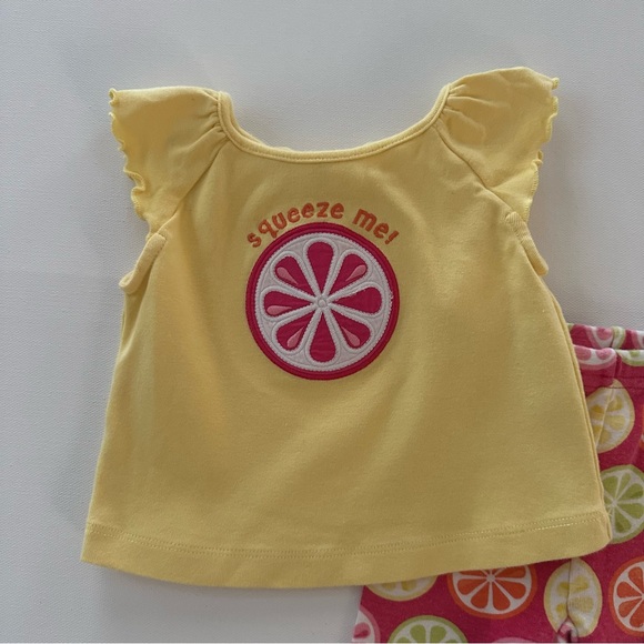 Gymboree 2009 Baby Girl 3-6 Months Citrus Slice Top & Pants Set Outfit Spring - Picture 2 of 6